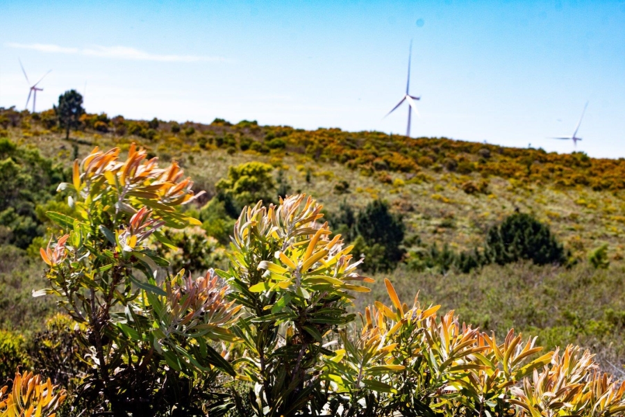 0 Bedroom Property for Sale in Humansdorp Rural Eastern Cape